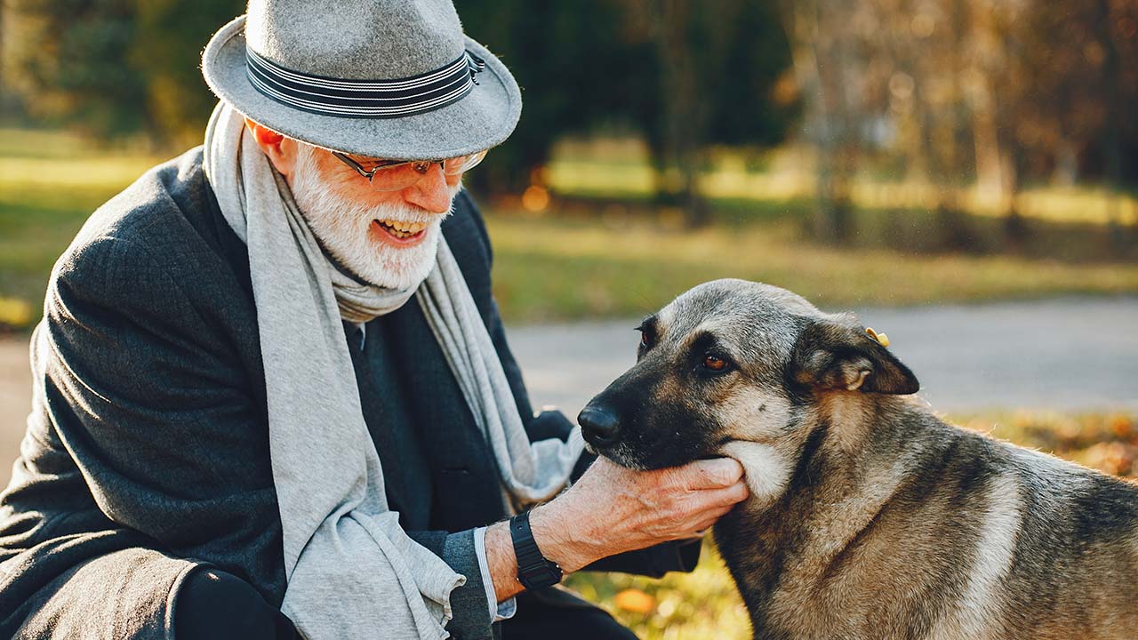 Cuidados a ter com Pets Sénior ou com Problemas